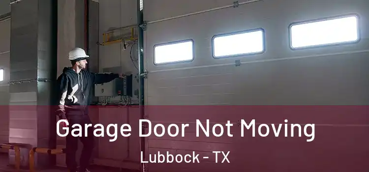  Garage Door Not Moving Lubbock - TX